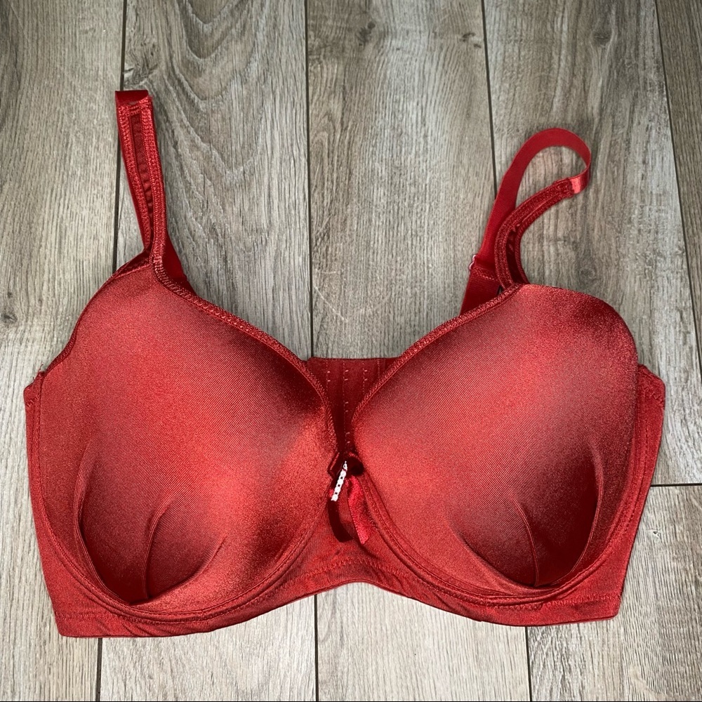 Bundle of 4 Angelina Wired Back-Smoothing Plus Size Bras with Convertible Straps